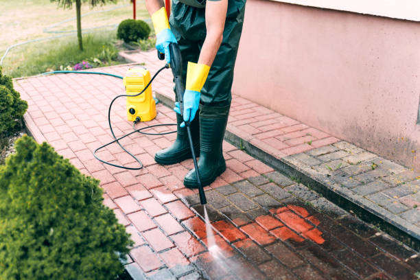 Best Exterior Home Cleaning  in Skyline View, PA